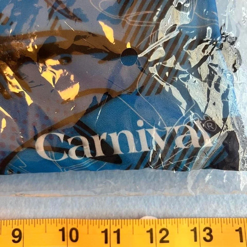 Carnival Beach Towel and Bag Set NEW